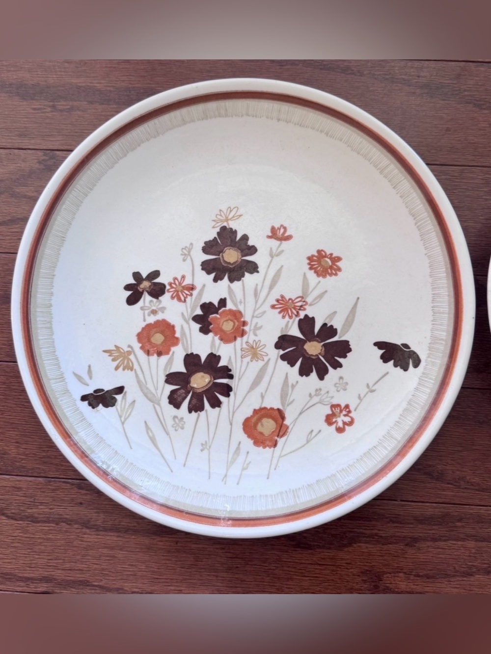 Set of 2 Vintage Royal China Jeannette Sunshine Dinner Plate in Brown & Orange